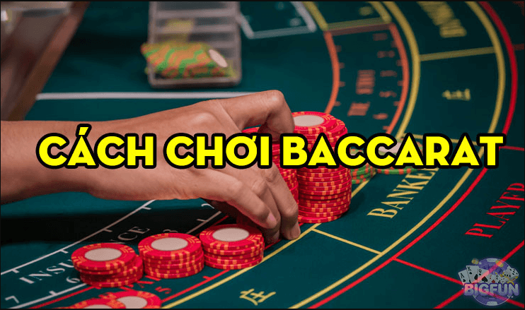 Chiến thuật chơi Baccarat hiệu quả tại VF555