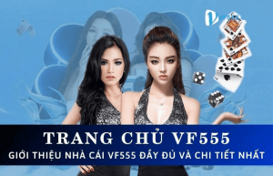 Hướng dẫn sử dụng nhà cái VF555 dành cho người mới bắt đầu