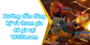 Hướng dẫn đăng ký và tham gia đá gà tại VF555.com