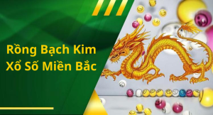 Lợi ích khi tham gia rồng bạch kim xổ số miền Bắc